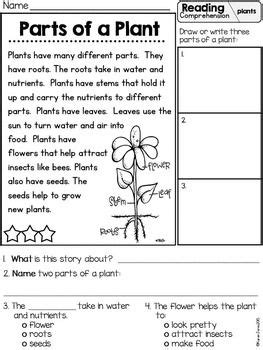 Plants Unit Plan for K-1 (With images) | Reading ...