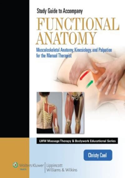 Pdf Read Functional Anatomy Musculoskeletal Anatomy Kinesiology And Palpation For Manual