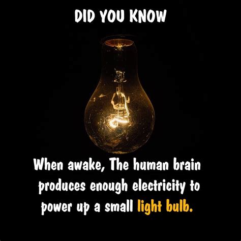 Daily Facts Did You Know Facts Human Brain Awake Light Bulb Power