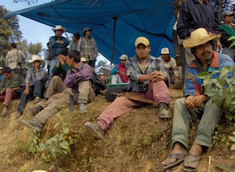 Fao Advierte Que América Latina Se Está Olvidando De Sus Campesinos Pueblos