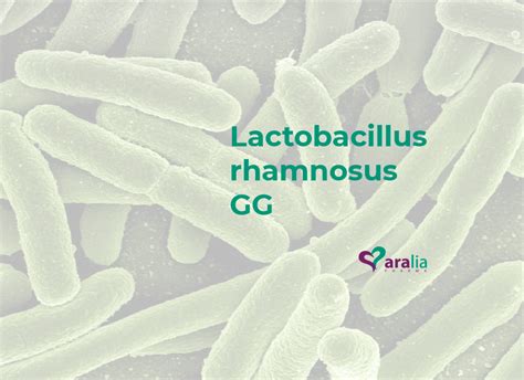 Conoce A Fondo El Lactobacillus Rhamnosus Gg Aralia Pharma