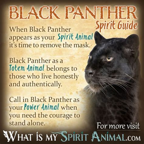 Black Panther Symbolism And Meaning Panthers Black