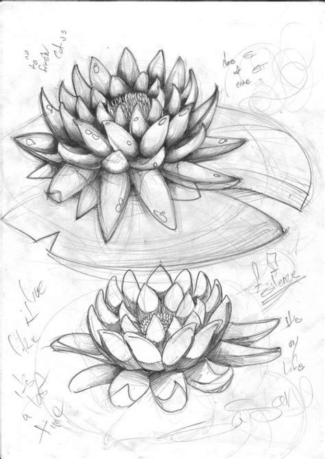 Gambar Sketsa Bunga Yang Mudah Dibuat Dan Sederhana
