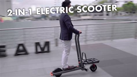 This 2 In 1 Electric Scooter Is Designed For Cargo Carrying And Fun