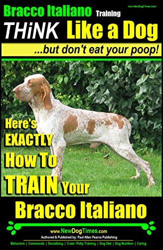 Bracco Italiano Training Think Like A Dog But Dont Eat Your Poop