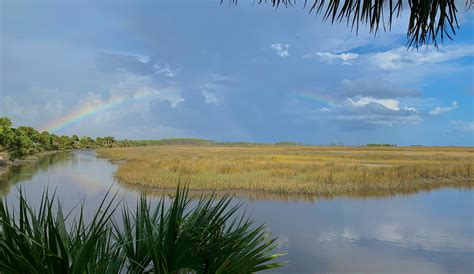 The Importance Of Coastal Salt Marshes• Florida Wildlife Federation