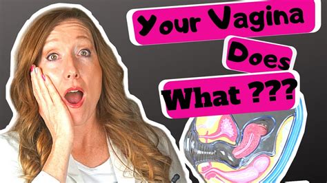 11 surprising facts about the vagina weird things about your vagina you should know youtube