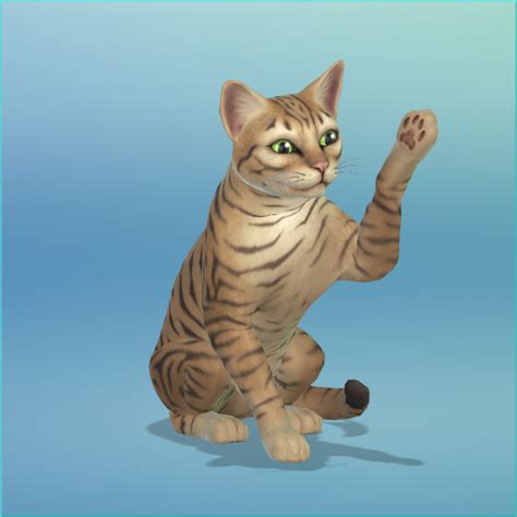 Sims 4 Cat Downloads Sims 4 Updates