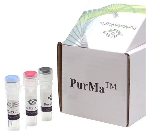 Mycoplasma Treatment Kit Mtk 100x Purma Biologics Llc