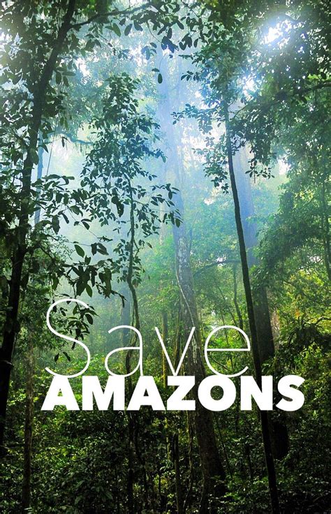 Lets Save The Rainforest Together With Wwf And Baidu South America