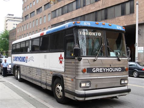 Filegreyhound Bus In Toronto Wikimedia Commons