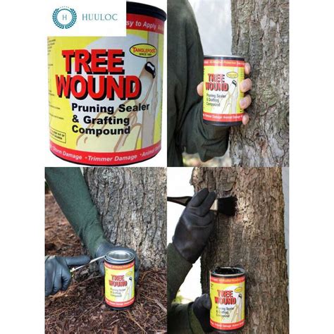 Tanglefoot Tree Wound Pruning Sealer And Grafting Compound Hardwares