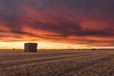 Free Images Sky Field Prairie Sunset Grassland Cloud Plain