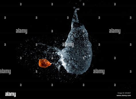 Water Balloon Teardrop Bursting Stock Photo Alamy