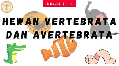 Vertebrata hewan vertebrata adalah hewan yang memiliki tulang belakang. PJJ Kelas 5 - Hewan Vertebrata dan Avertebrata - YouTube