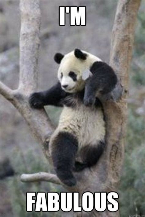 Panda Memes Are Always Adorable Funny Panda Pictures Panda Funny