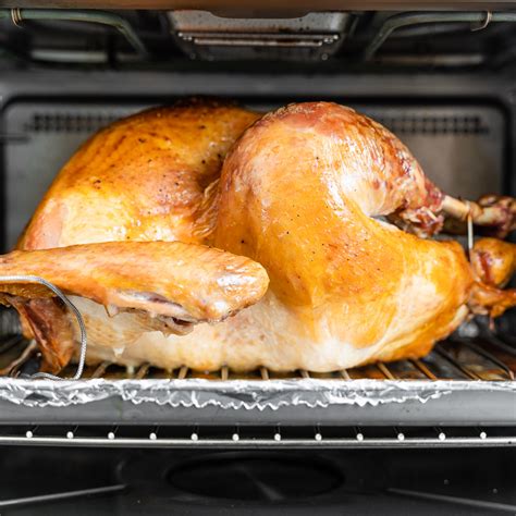 speedy convection roasted thanksgiving turkey combi steam oven recipes