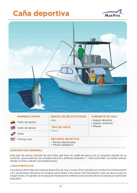 En Que Consiste La Pesca Deportiva Pesca Información