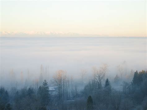 Whats The Difference Between Fog And Clouds Noaa Scijinks All