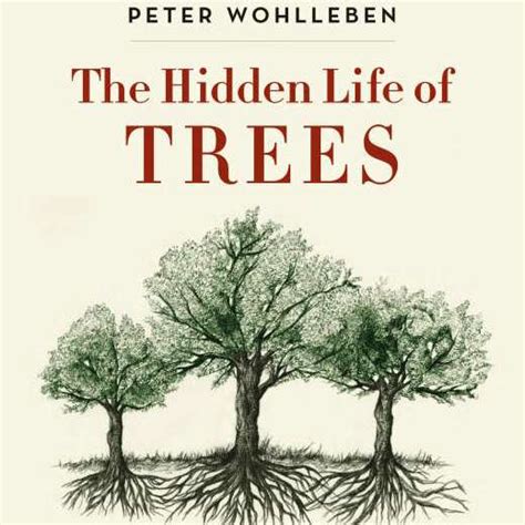 The Hidden Life Of Trees Cover