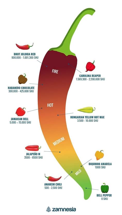 Hot Peppers And The Scoville Scale Zamnesia