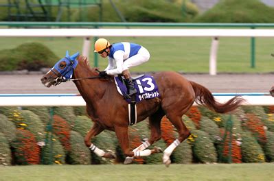 ダイワスカーレットとは、2004年産の栗東・松田 国英厩舎所属の競走馬である。 主戦騎手は安藤勝己。 『ダスカ』と書かれる場合が多い。 この記事では実在の競走馬について記述しています。 ダイワスカーレット成績