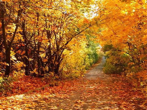 46 Beautiful Fall Scenery Wallpapers Wallpapersafari