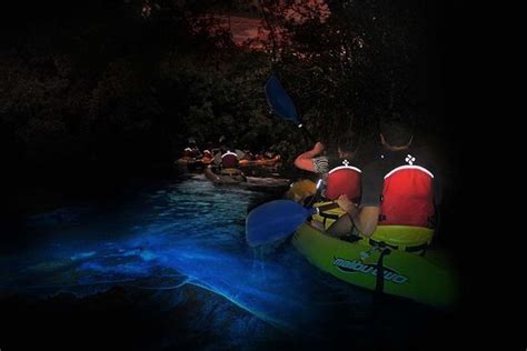 Tripadvisor Excursi N En Kayak Por La Bah A Bioluminiscente En