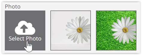 Remove the Background of an Image or Photo using Remove.BG - Just Click