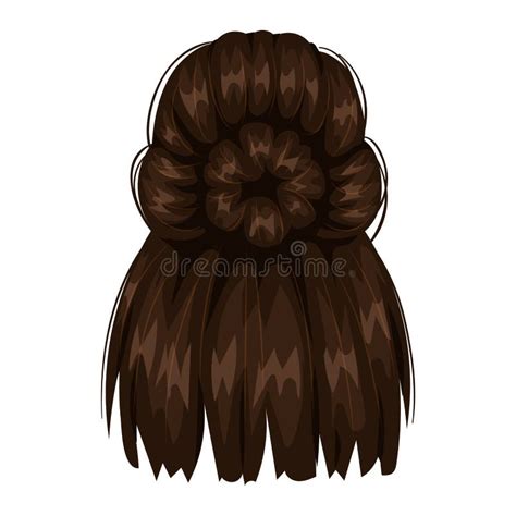 Vector Woman Hairstyle Back View Stock Vector Illustration Of Face