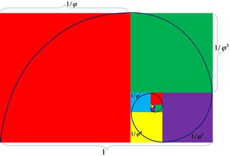 Golden Ratio Spiral Picture Free Math Photos And Images