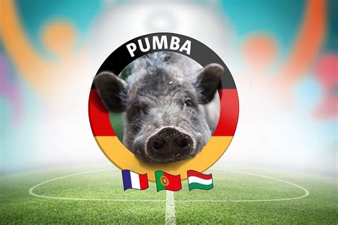 Euro 2020 diese 16 teams sind schon qualifiziert em 2020 dfb trikot enthüllt deutschland in schwarzen. EM-Orakel Pumba tippt Deutschland gegen Portugal | Dorsten