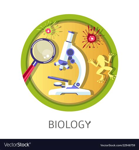 Biology Discipline In School And University Vector Image