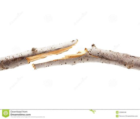 Tree Stick Breaking Clipart 20 Free Cliparts Download Images On