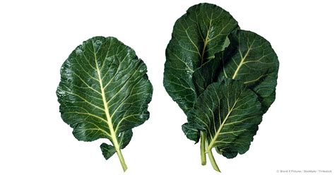 You can either be storing fat or burning it. What Are Collard Greens Good For? - Mercola.com