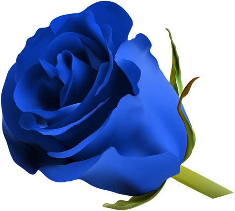 Royal Blue Flowers Png The Advantage Of Transparent Image Is That It