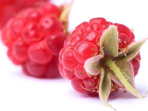 Wallpapers Fruit Raspberry Food Image Download