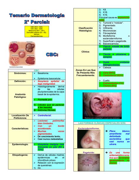 Carcinoma Basocelular Carcinoma Espinocelular Melanoma Dermatitis