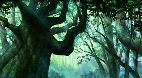 Anime Forest Backgrounds Wallpaper Cave Tree Nature Wallpaper