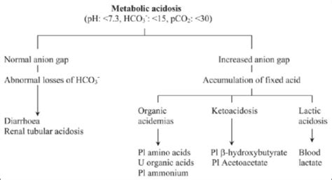Metabolic Acidosis Algorithm