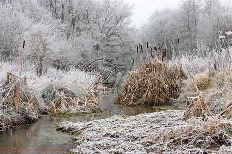 Frosty Winter Scene Photo Wp21795
