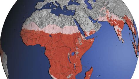 Das sind risikogebiete mit besonders hohen fallzahlen. Zehn-Jahres-Bilanz: Zahl der Malaria-Toten weltweit um 38 ...