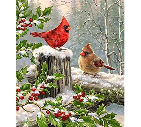 Cardinal Birds In Snow Diamond Painting Kits