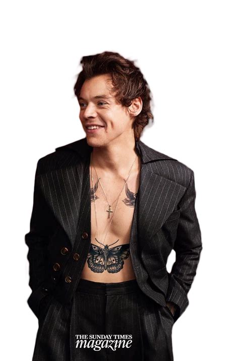 Harry Styles Png Gambar Latar Belakang Transparan Png Arts