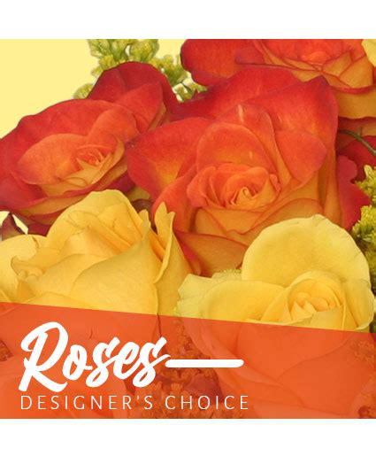 Maybe you would like to learn more about one of these? Beautiful Roses Designer's Choice in New Braunfels, TX ...