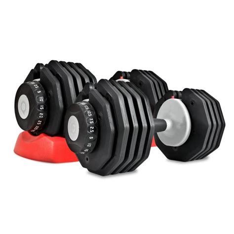 Bodymax 25kg Selectabell Dumbbells ~~~ 10 Different Weights In One