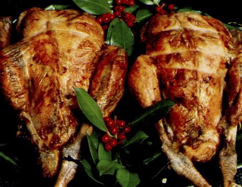 So This Is How Julia Child Roasts a Turkey | Turkey, Julia child