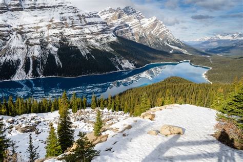 Lago Peyto En El Parque Nacional Banff Alberta Canadá Foto Premium
