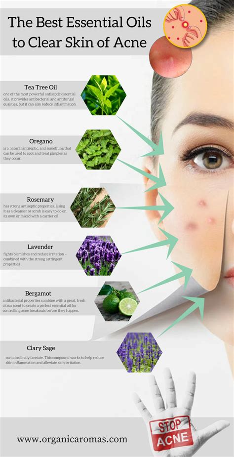The Best Essential Oils To Help With Acne Organic Aromas Best Oil