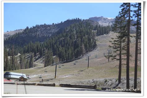 Mammoth Mountain Minaret Road Mammoth Lakes California 加州 Narwal